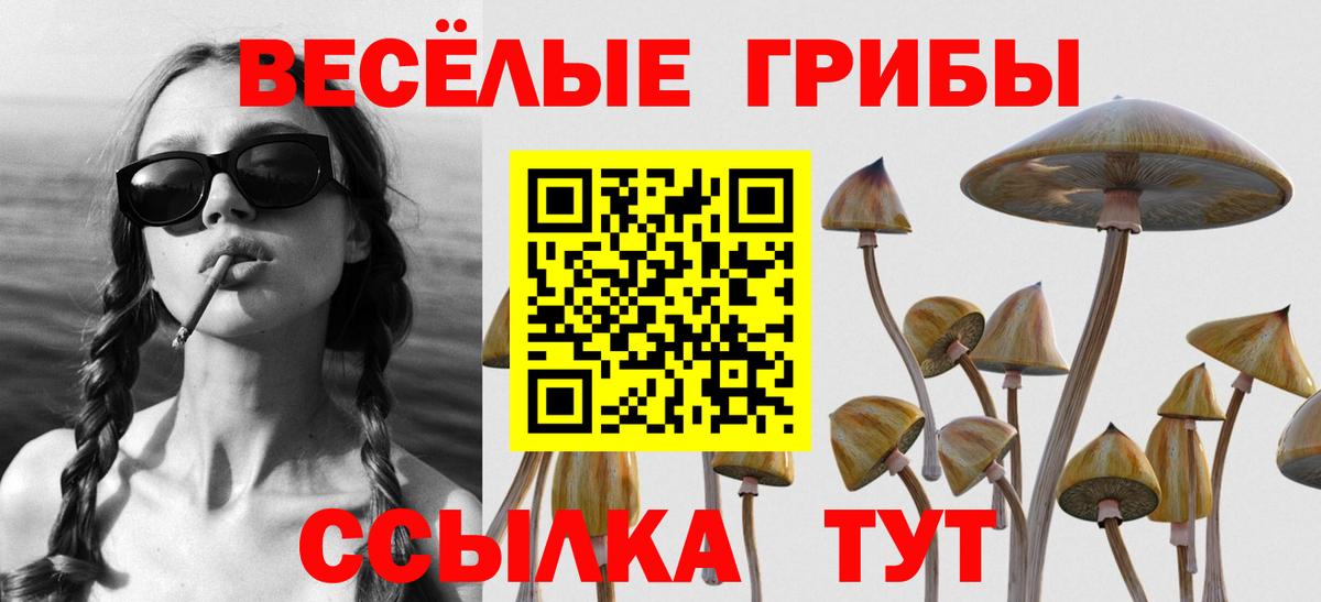 Галлюциногенные грибы MAGIC MUSHROOMS Куйбышев